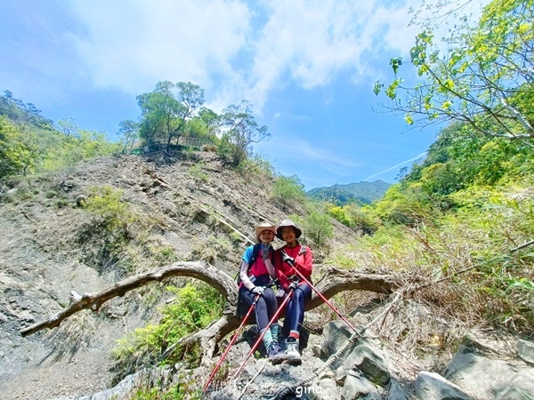 【屏東獅子鄉】台灣百大必訪步道~里龍山步道~