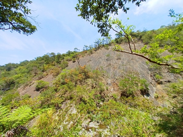 【屏東獅子鄉】台灣百大必訪步道~里龍山步道~