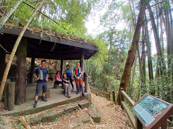 【嘉義梅山】瑞太古道 x油車寮步道