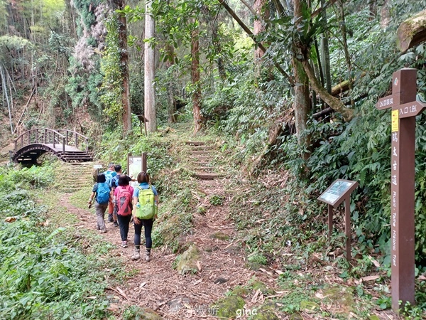 【嘉義梅山】瑞太古道 x油車寮步道
