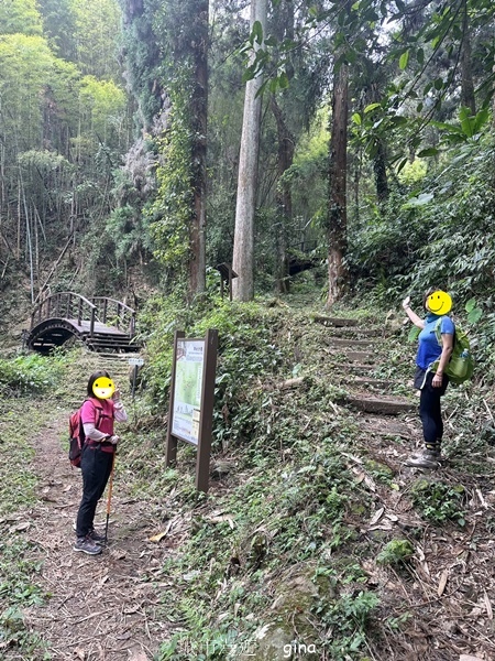 【嘉義梅山】瑞太古道 x油車寮步道