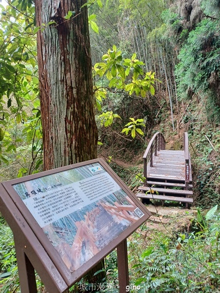 【嘉義梅山】瑞太古道 x油車寮步道