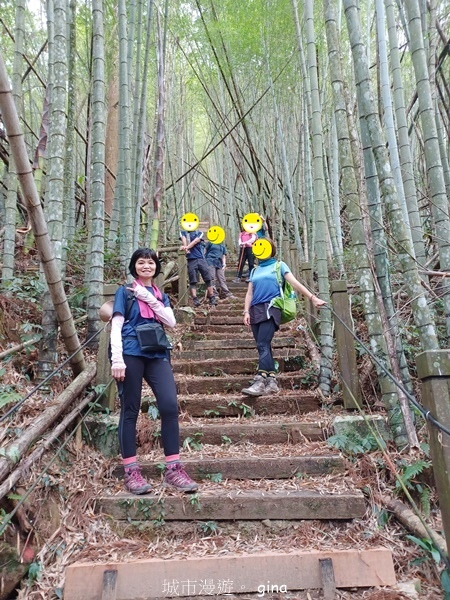 【嘉義梅山】瑞太古道 x油車寮步道