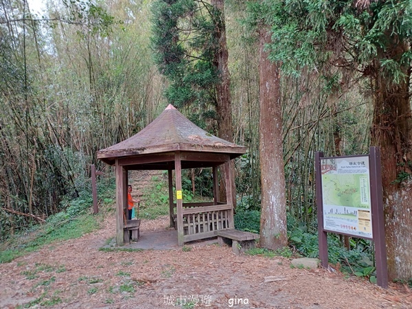 【嘉義梅山】瑞太古道 x油車寮步道