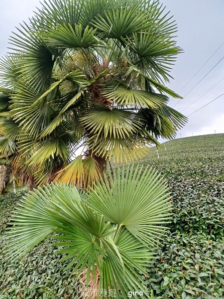 20240518_151030.jpg