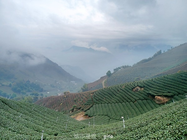 【嘉義梅山】瑞太古道 x油車寮步道