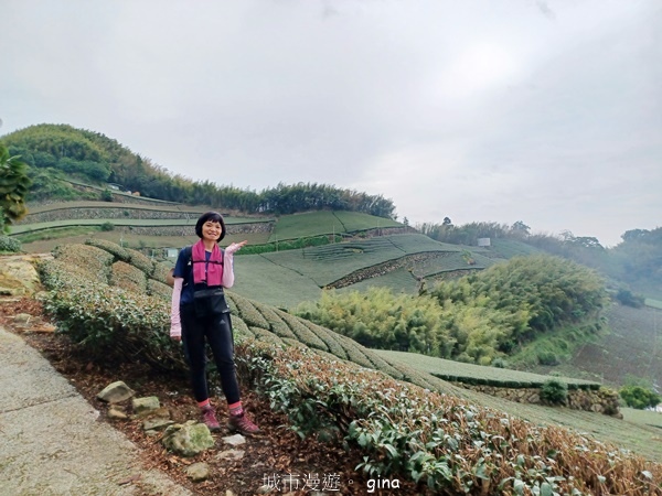 【嘉義梅山】瑞太古道 x油車寮步道
