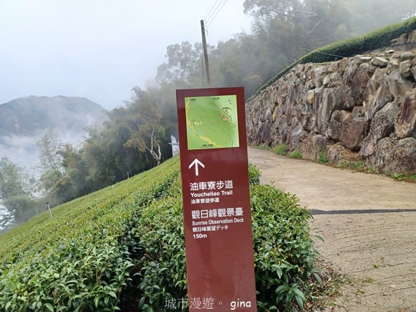 【嘉義梅山】瑞太古道 x油車寮步道