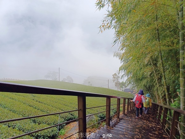 【嘉義梅山】瑞太古道 x油車寮步道