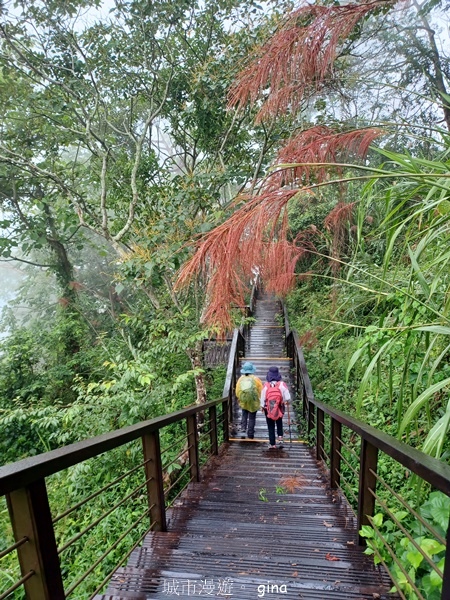 【嘉義梅山】瑞太古道 x油車寮步道