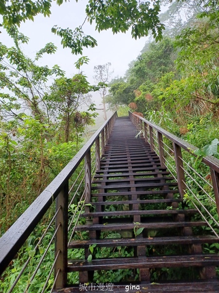 【嘉義梅山】瑞太古道 x油車寮步道