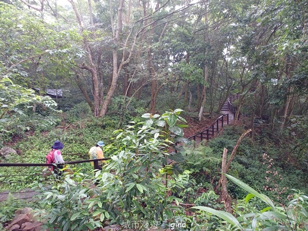 【嘉義梅山】瑞太古道 x油車寮步道