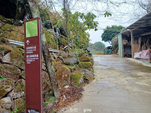 【嘉義梅山】瑞太古道 x油車寮步道
