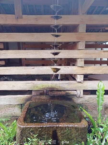 【嘉義梅山】瑞太古道 x油車寮步道