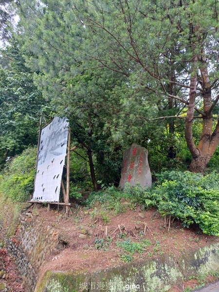 20240608_084346.jpg