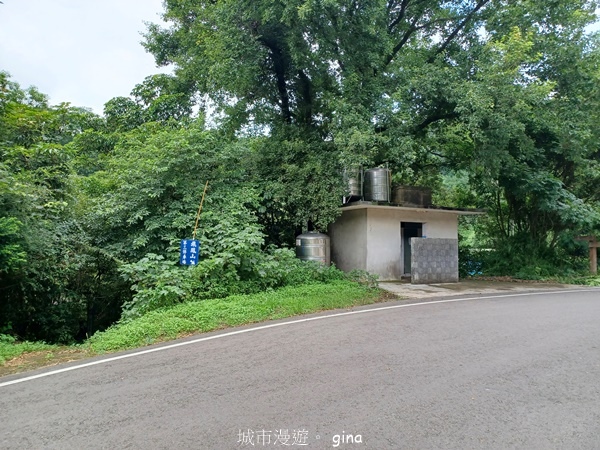 【新竹芎林】台灣百大必訪步道。 飛鳳山、觀日坪古道O繞