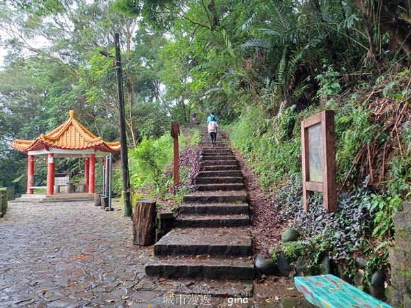 【新竹芎林】台灣百大必訪步道。 飛鳳山、觀日坪古道O繞