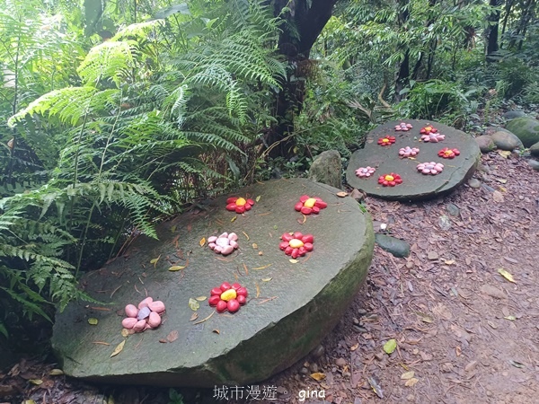 【新竹芎林】台灣百大必訪步道。 飛鳳山、觀日坪古道O繞