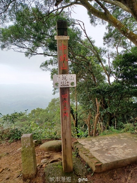 【新竹芎林】台灣百大必訪步道。 飛鳳山、觀日坪古道O繞