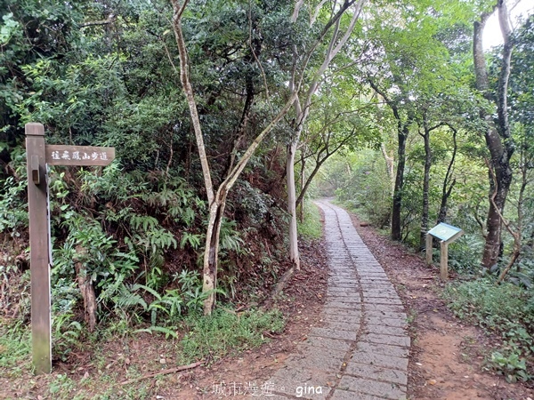 【新竹芎林】台灣百大必訪步道。 飛鳳山、觀日坪古道O繞