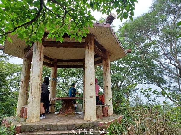 【新竹芎林】台灣百大必訪步道。 飛鳳山、觀日坪古道O繞