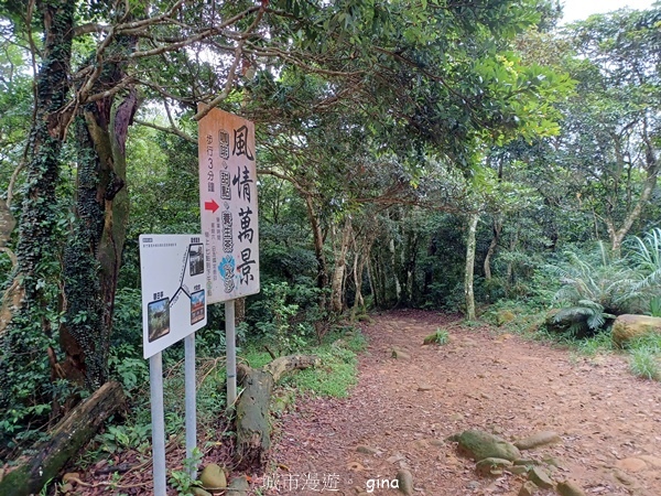 【新竹芎林】台灣百大必訪步道。 飛鳳山、觀日坪古道O繞