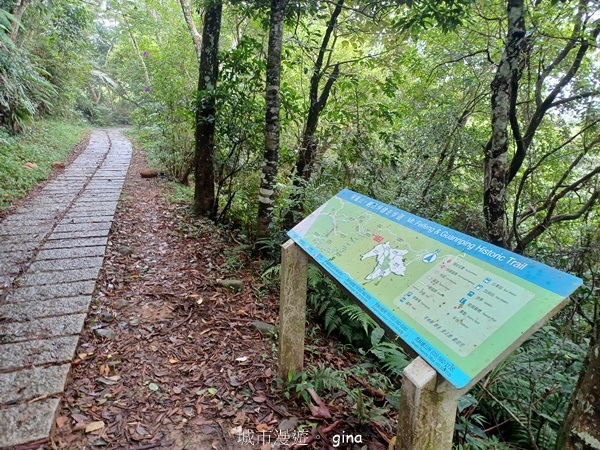 【新竹芎林】台灣百大必訪步道。 飛鳳山、觀日坪古道O繞