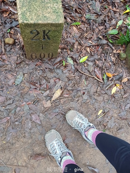 【新竹芎林】台灣百大必訪步道。 飛鳳山、觀日坪古道O繞