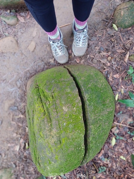 【新竹芎林】台灣百大必訪步道。 飛鳳山、觀日坪古道O繞