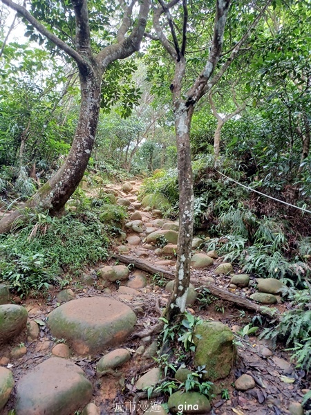 【新竹芎林】台灣百大必訪步道。 飛鳳山、觀日坪古道O繞