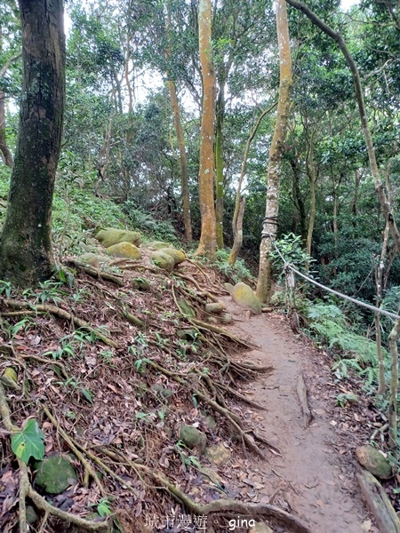 【新竹芎林】台灣百大必訪步道。 飛鳳山、觀日坪古道O繞