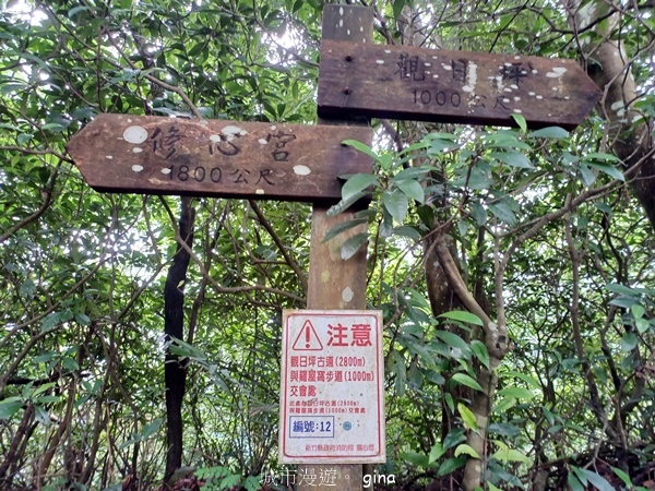 【新竹芎林】台灣百大必訪步道。 飛鳳山、觀日坪古道O繞