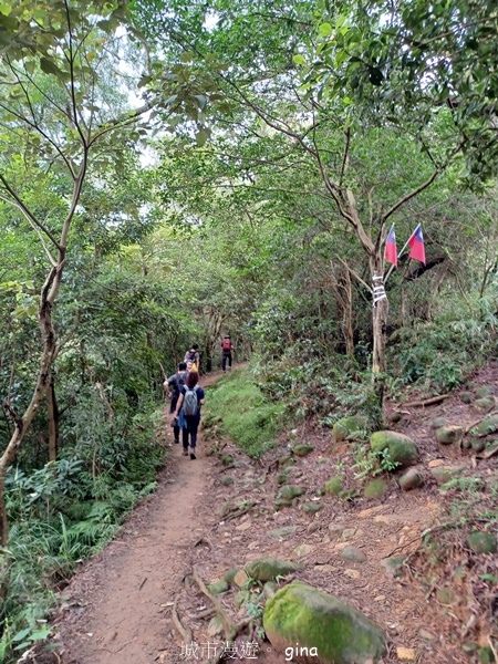【新竹芎林】台灣百大必訪步道。 飛鳳山、觀日坪古道O繞