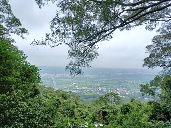 【新竹芎林】台灣百大必訪步道。 飛鳳山、觀日坪古道O繞