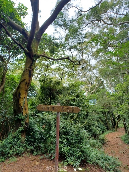 【新竹芎林】台灣百大必訪步道。 飛鳳山、觀日坪古道O繞