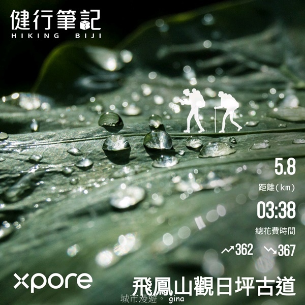 【新竹芎林】台灣百大必訪步道。 飛鳳山、觀日坪古道O繞