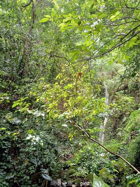 20240609_120333.jpg