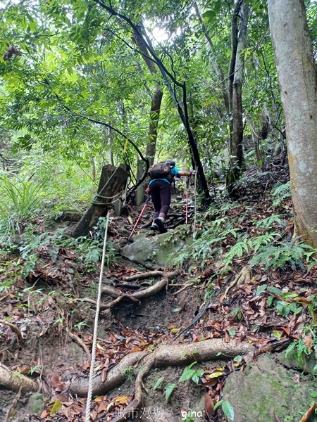 20240609_122143.jpg