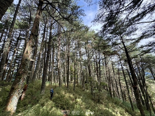 【花蓮秀林】花蓮秀林-No67百岳屏風山