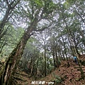 20240706_093440.jpg