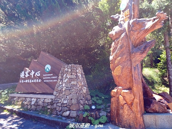 【台中和平】稍來小雪山國家步道~