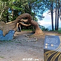 20240706_093458.jpg
