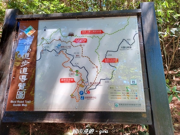 【台中和平】稍來小雪山國家步道~