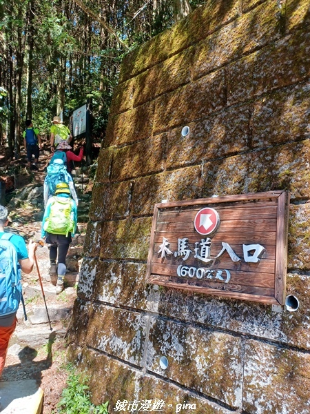 【台中和平】稍來小雪山國家步道~