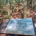 20240706_101350.jpg