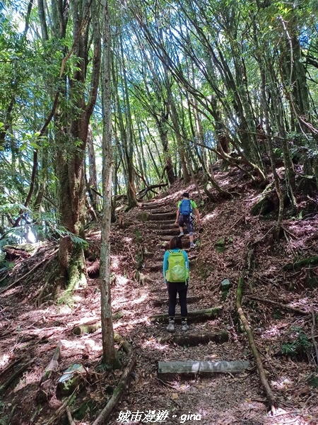 【台中和平】稍來小雪山國家步道~