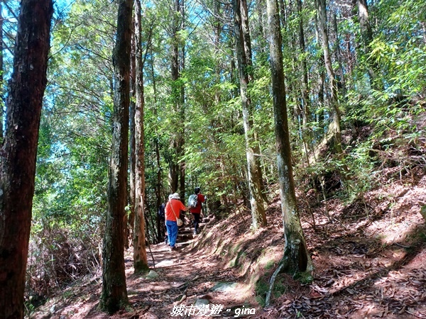 【台中和平】稍來小雪山國家步道~