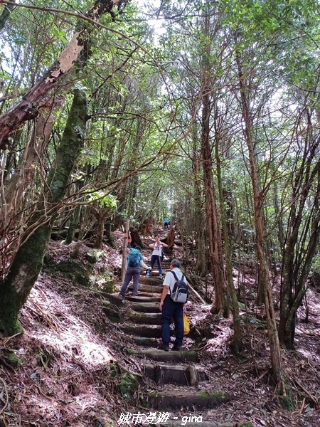 【台中和平】稍來小雪山國家步道~