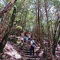 20240706_105024.jpg