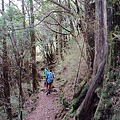 20240706_105902.jpg